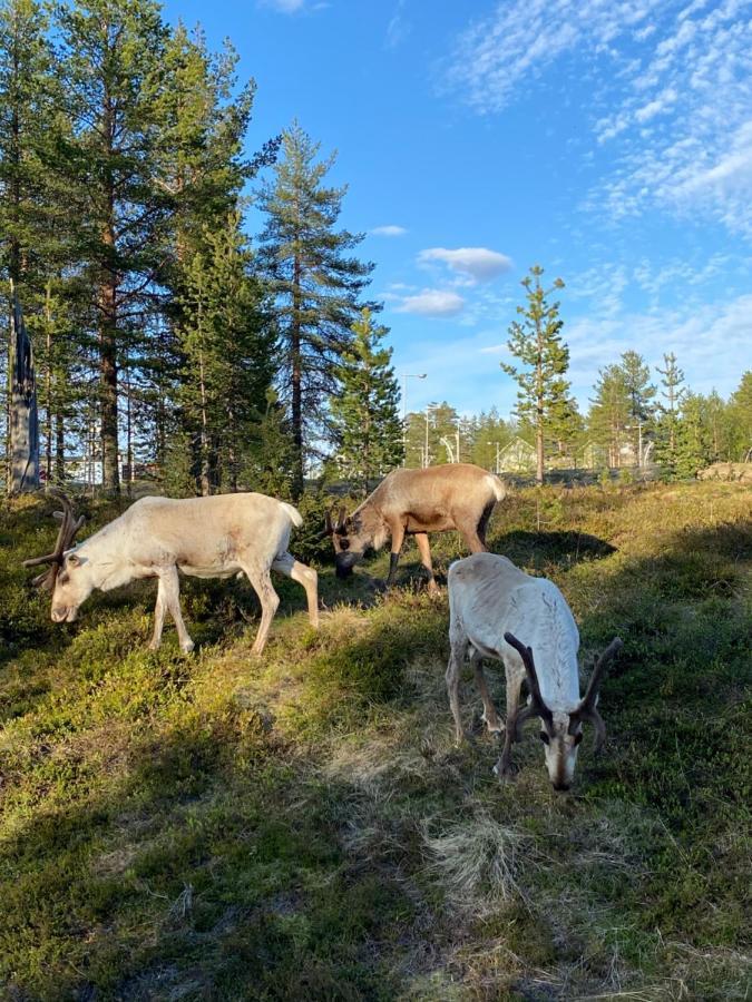 Villa Haukka Saariselka Esterno foto