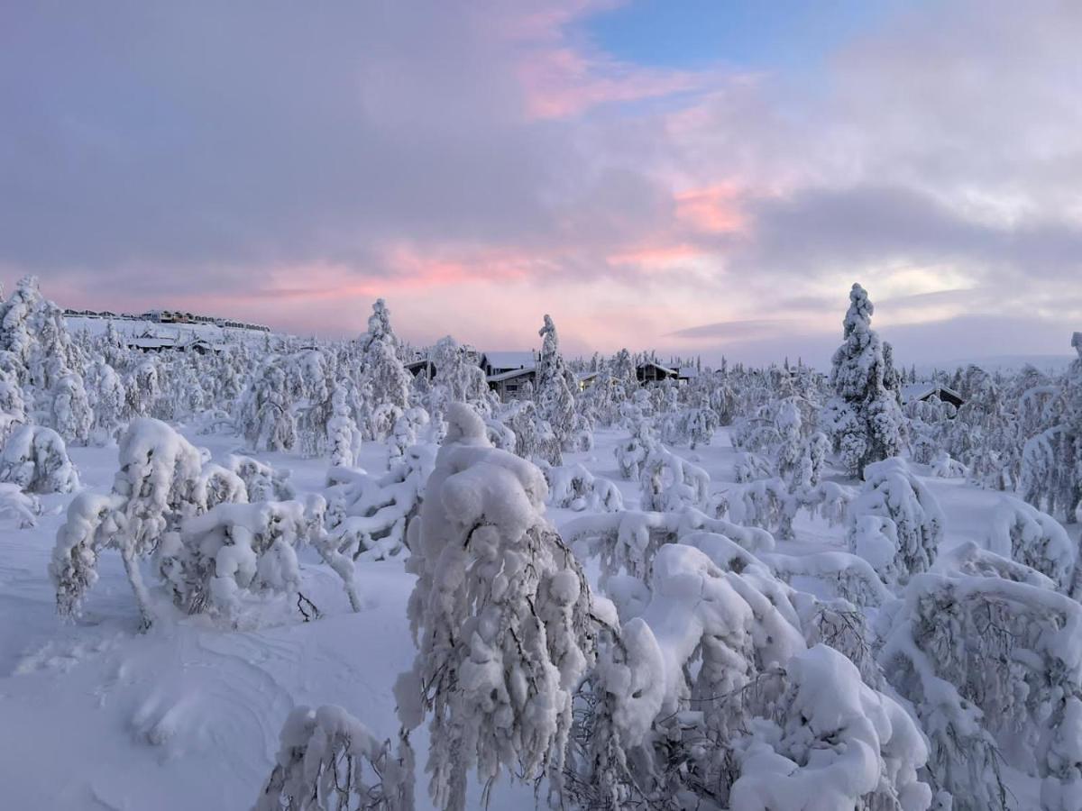 Villa Haukka Saariselka Esterno foto